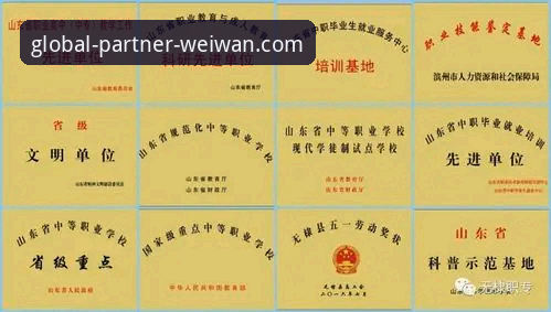微玩体育合作咨询 自我摸索vs专业指导:微玩体育合作咨询与全球招募计划深度解析